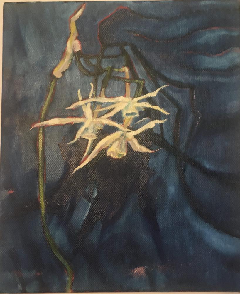 Prussian Blue Narcisuss