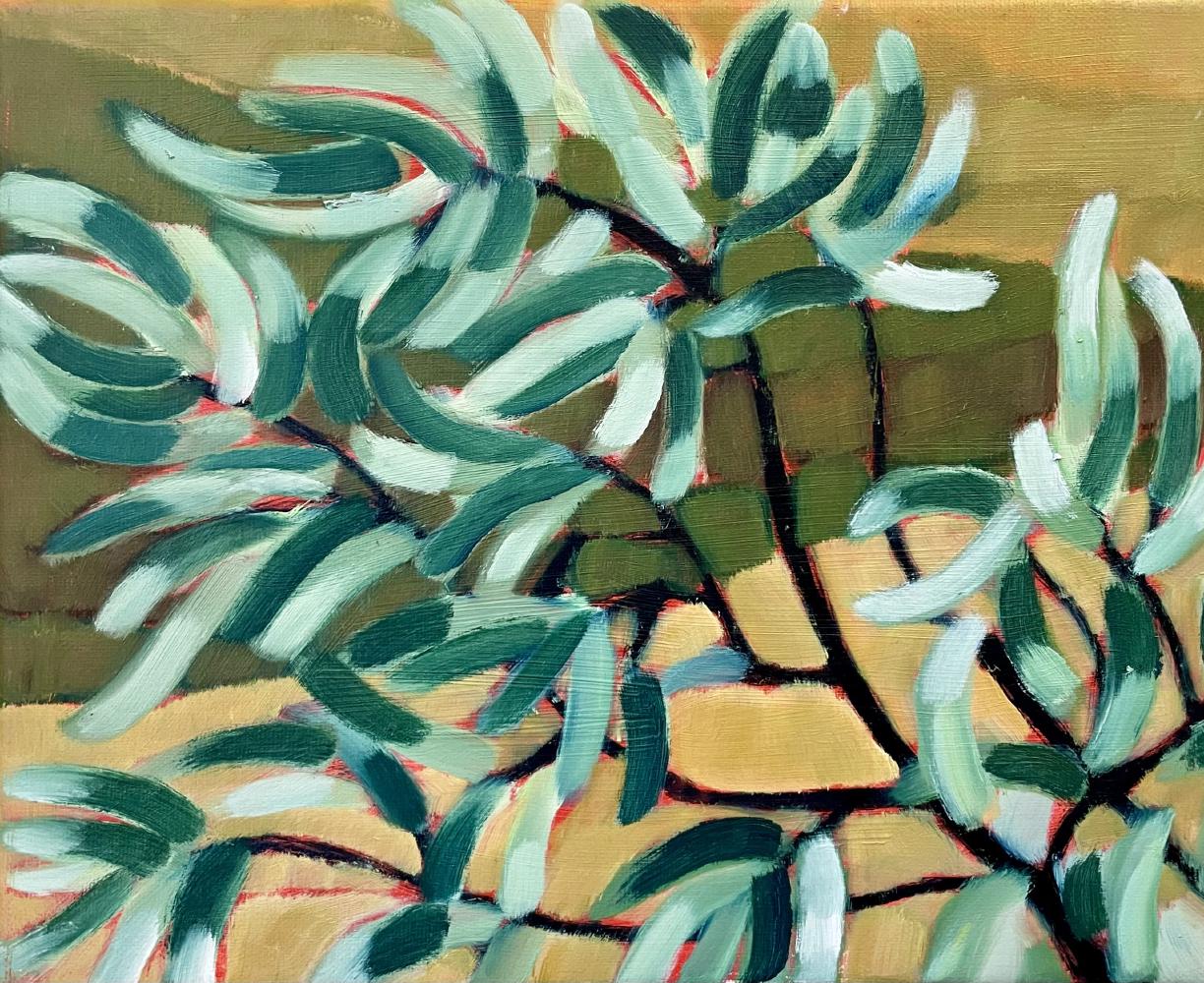 Olive Leaves